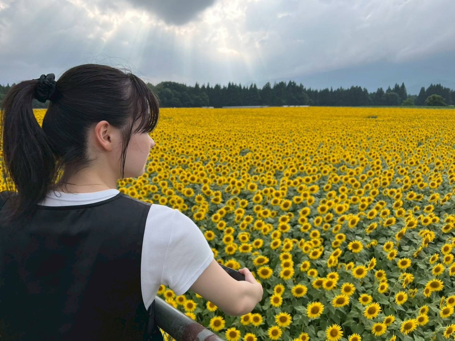 入沢　優菜